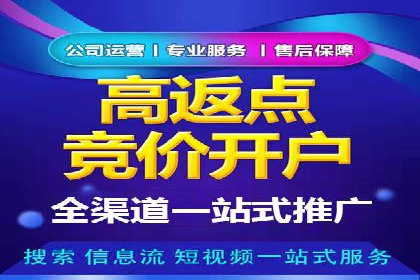 百度SEO推广案例：优化策略与效果对比